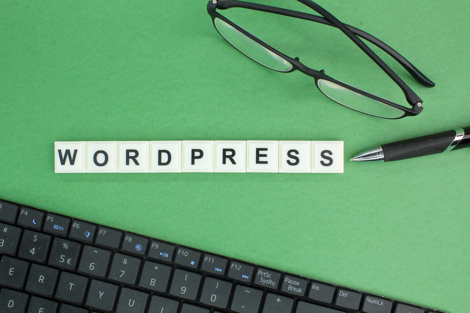 WordPress: Why the World’s Most Popular CMS Still Leads the Way in 2025