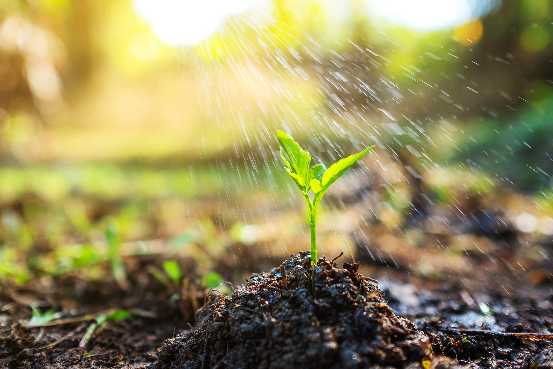 Your Website Should Work Harder: A Growth Playbook for US Businesses